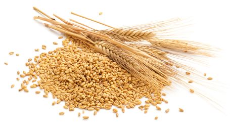 Jumping on the fibre maxing trend? Bear in mind the rules on nutrition claims!