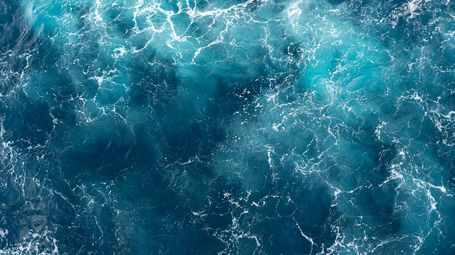 Marine Biologists Discover 31 Potential New Species in Just 2 Weeks at Sea
