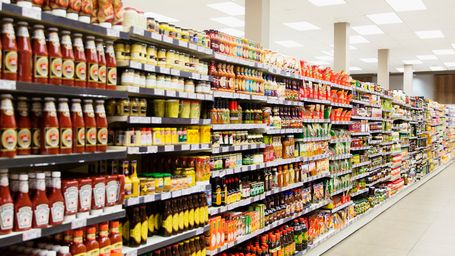 COP 28 - Field work in progress