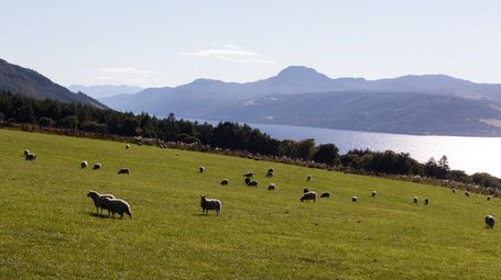 Unlocking the Power of Regenerative Agriculture for Net-Zero Food Systems