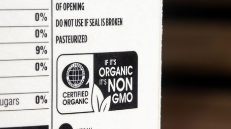Bolstering Your ESG Efforts with Sustainability-Based Certifications