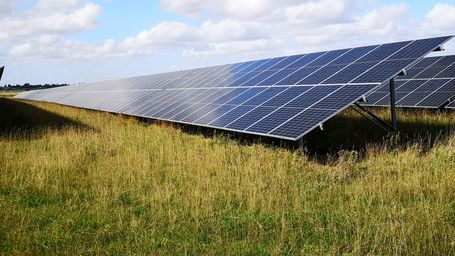 In Wyoming, Sheep May Safely Graze Under Solar Panels in One of the State’s First “Agrivoltaic” Projects