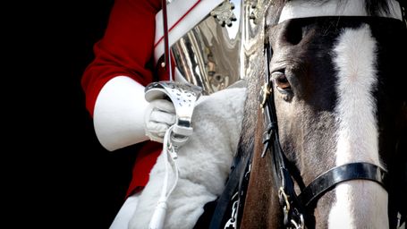 O’Connell v MOD: an expert’s approach to evidence and honesty