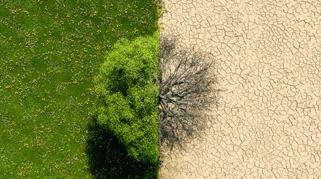 In our changing climate, food availability must be a top concern