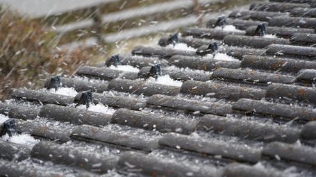 Hail Damage: When Does Matching Siding Require Full Replacement? | Tansey v. Allstate Insurance Company of Canada, 2026 ABKB 525