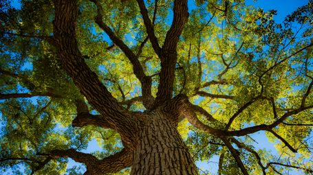 New Approaches to Environmental Harm