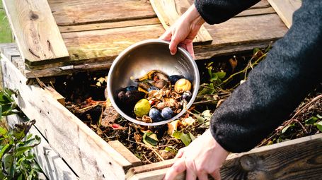 ASA cracks down on 'compostable' coffee pod claims