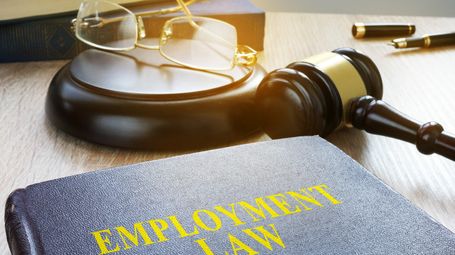 The competency and conduct standard through an employment law lens