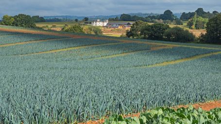 Trust a Farmer to "Do the Right Thing"!