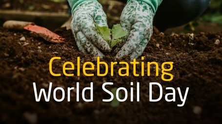 World Soil Day: Why Sustainable Agriculture Starts Beneath Our Feet