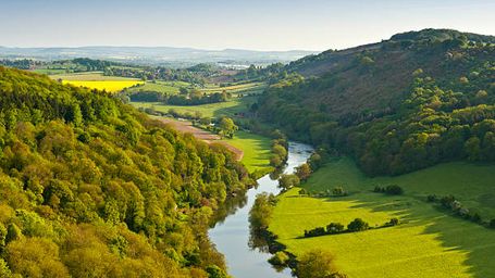 Distinctively maintain client-centric solutions for e-business alignments.