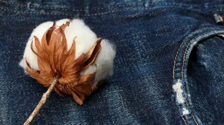 Why Traceability Is Becoming Important to Fashion