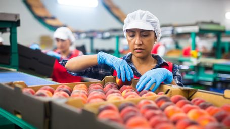 FDA's third wave of food traceability tips