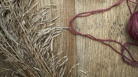 “Nature Socks” a sustainability claim?