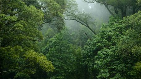 EUDR - a good overview on the what, why and how