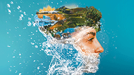 Smart sensor solutions for sustainable farming practices