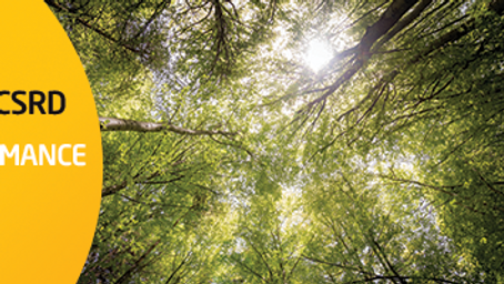 Complying with the CSRD – How to Disclosure Sustainability Performance