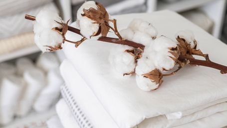 Enhance Your Sustainability Journey with Intertek's Textile Exchange and GOTS Standards Certification