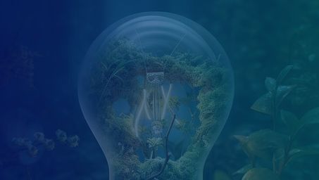 Sustainable Marketing: What’s happening right now?