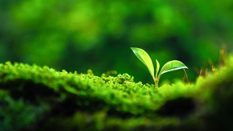 STEP : The European Ecological Transformation Show