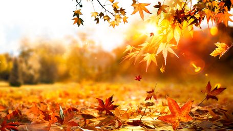 Fun things to do in October to get the most out of Fall