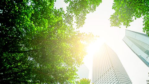 Greenwashing investigations on the horizon: what to expect and how to prepare