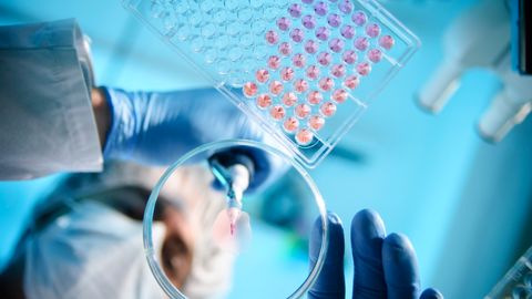 UK government call for evidence on review of biological security strategy