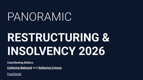 Panoramic: Restructuring & Insolvency – 2026 edition now out