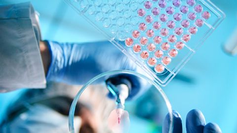 Healthcare sector remains antitrust enforcement priority in China
