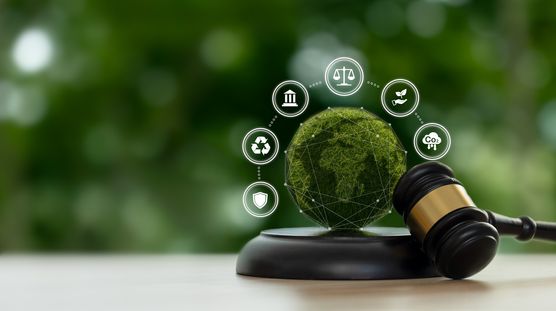 How PFAS Exposure Is Driving a New Era of Personal Injury Claims