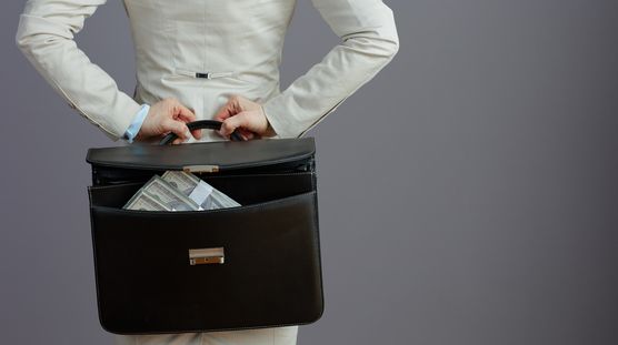 Federal Court Upholds IRS Promoter Penalties Against Art Donation Program Operator Under IRC Section 6700