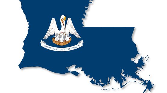 LDEQ Finalizes Regulations Amending the State's Voluntary Environmental Self-Audit Program