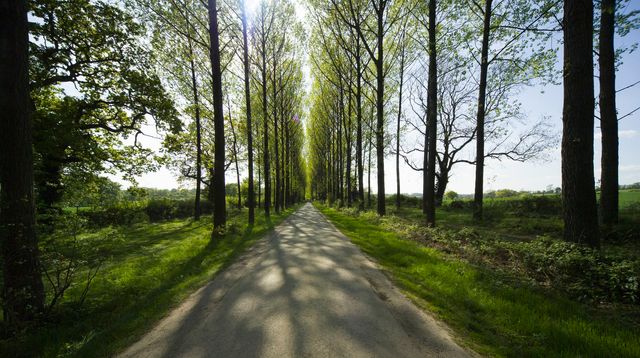 EU Commission Completes Simplification Package Presented in May 2026
