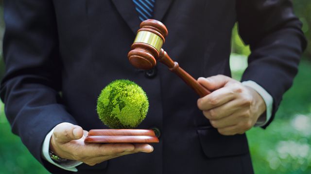 CARB Opens Voluntary SB 261 Docket and Issues Enforcement Advisory Following Ninth Circuit Injunction