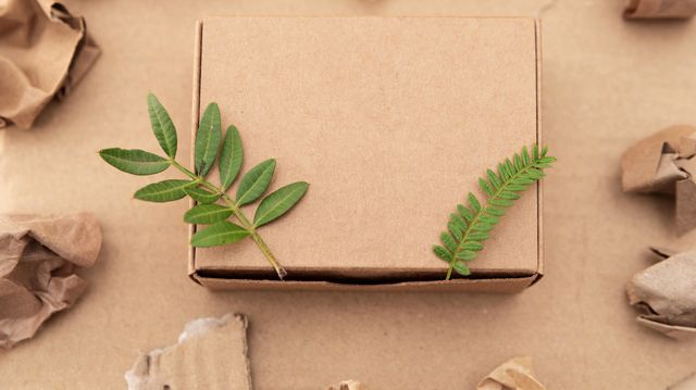 A Federal Court Paused Oregon's EPR Law: What Companies Should Know