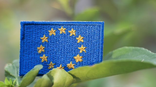 The EU Commission Publishes its Report on the Simplification of the EU Deforestation Regulation
