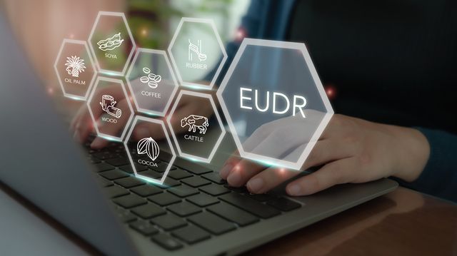 One year postponement of EUDR almost certain!