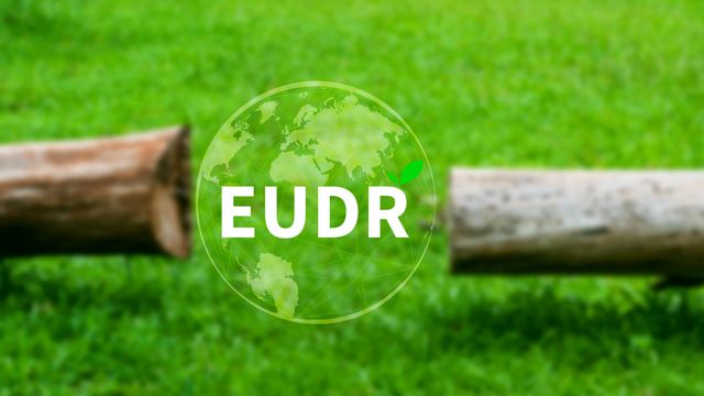 One Year Postponement Of EUDR Almost Certain! (Update)