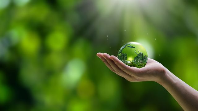 EU Publishes Pared Back ESG Rules In The Omnibus