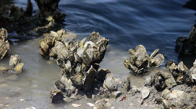 This Popular Peninsula for Summer Travel Is a Surprisingly Eco-Friendly Escape