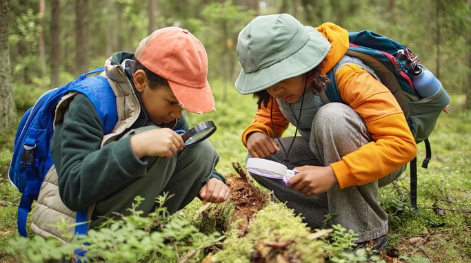 The most underrated career skill: Curiosity