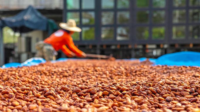 From cocoa to coffee, collaborating on climate action yields results