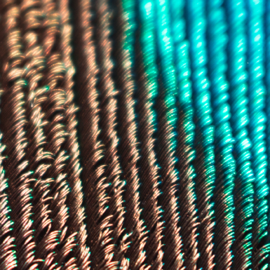 H1 Nali sandbox test