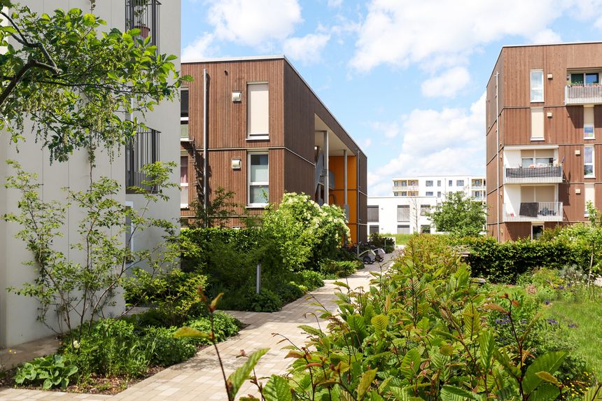 Residential area with ecological and sustainable green residential buildings, low-energy houses with wooden facade, timber construction and green courtyard