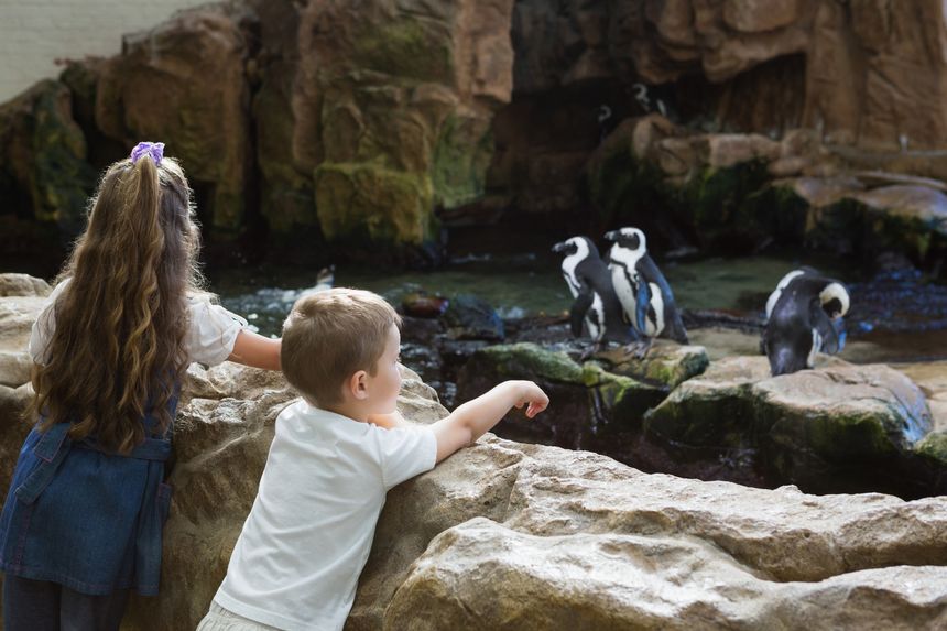 Little siblings looking at penguins at the aquarium