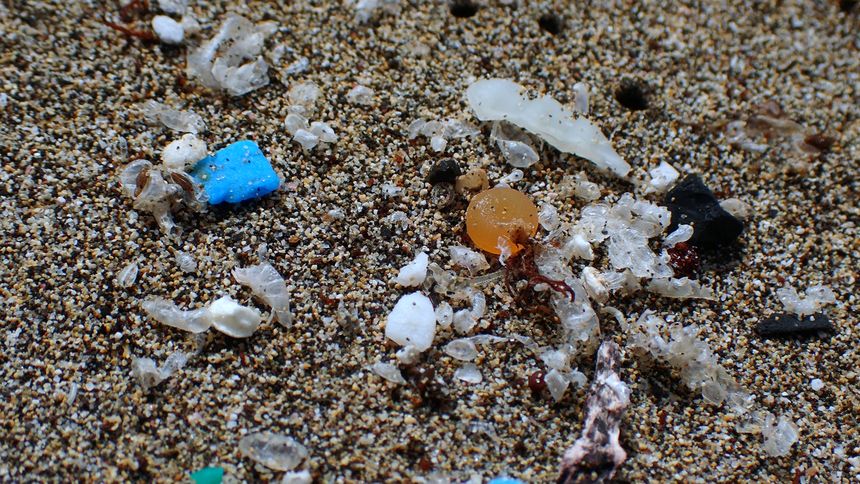 Microplastics of different shapes and colors among the remains of marine life on the beach of Órzola, Lanzarote, archipelago of the Canary Islands, Spain. Concept of massive pollution in every corner of the planet.