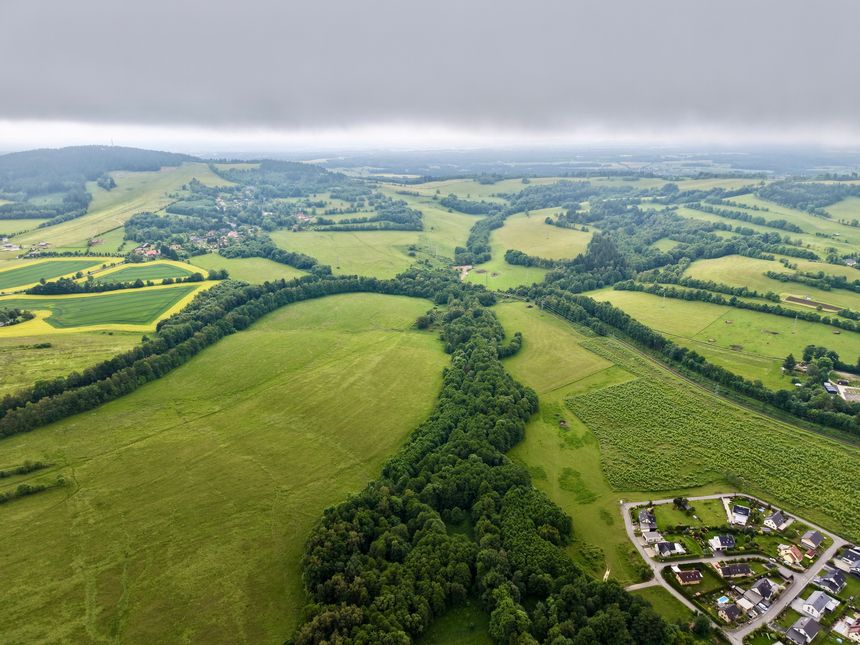 New environmental delivery guidance: what developers need to know about BNG for NSIPs and the Nature Restoration Fund
