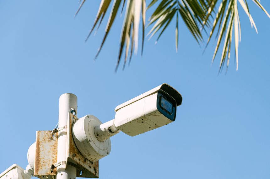 Outdoor security camera mounted on a pole, set against a clear blue sky, partially framed by palm fronds. Symbolizes surveillance, security, and a tropical setting