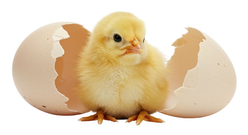 4. Scaling and operationalising AI across insurance claims