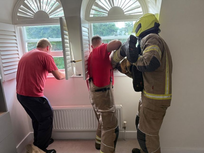 Why the Fire Brigade had to rescue our neighbour’s curious cat